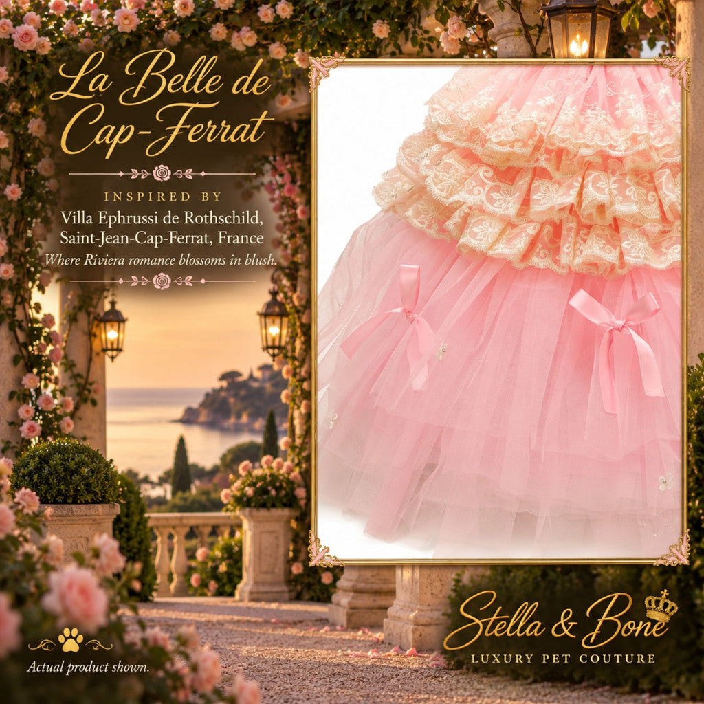 La Belle de Cap-Ferrat luxury dog dress featuring tiered lace ruffles layered pink tulle skirt and small satin bows