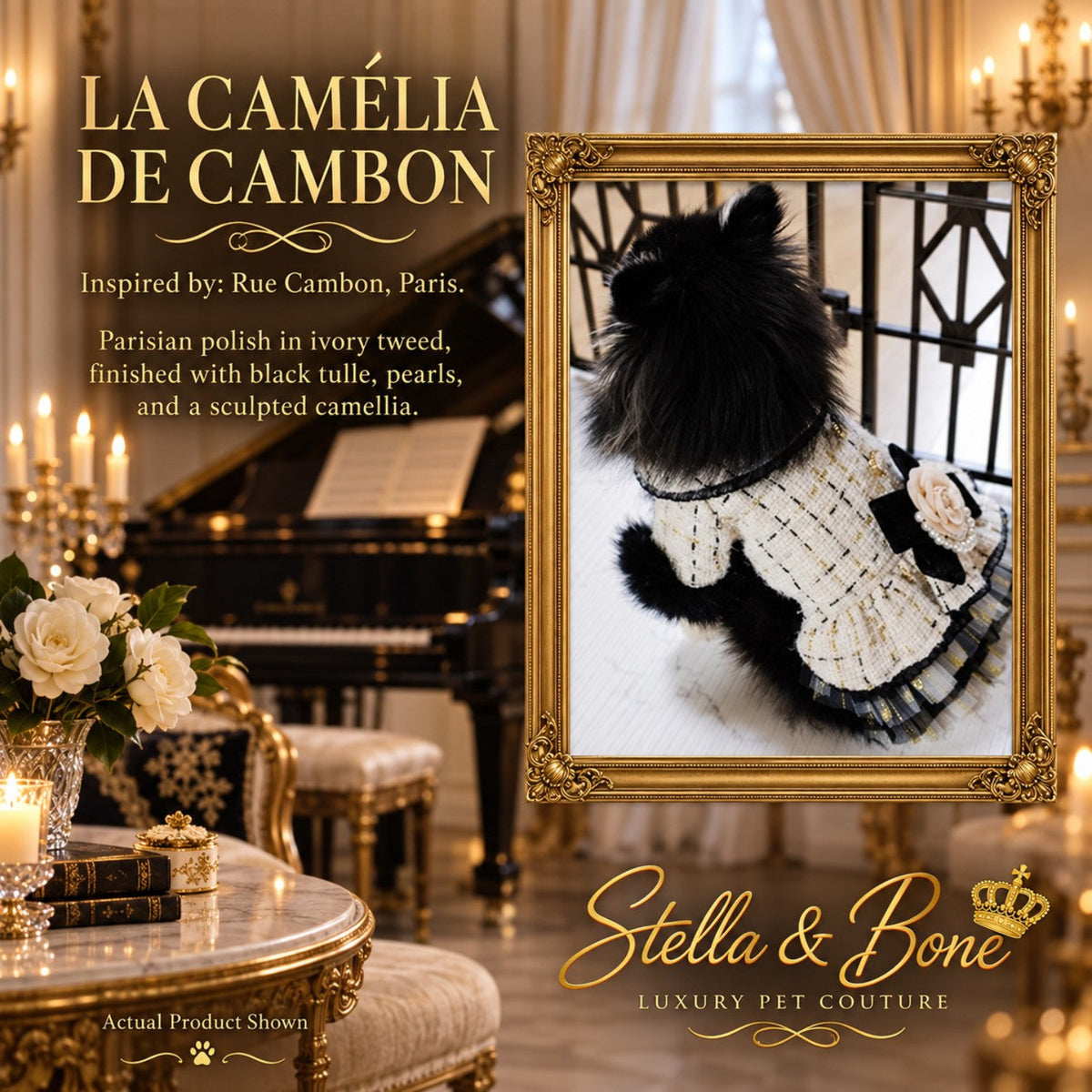 La Camélia De Cambon couture ivory tweed dog dress back view showing a large black velvet bow and sculpted camellia flower.