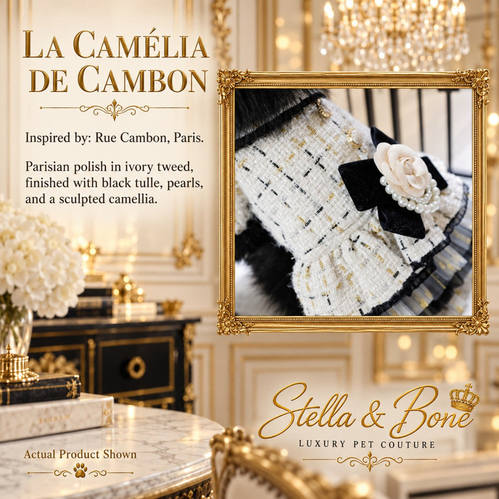 Close up detail of La Camelia De Cambon dog dress showing ivory tweed fabric, black velvet bow, and pearl accent.