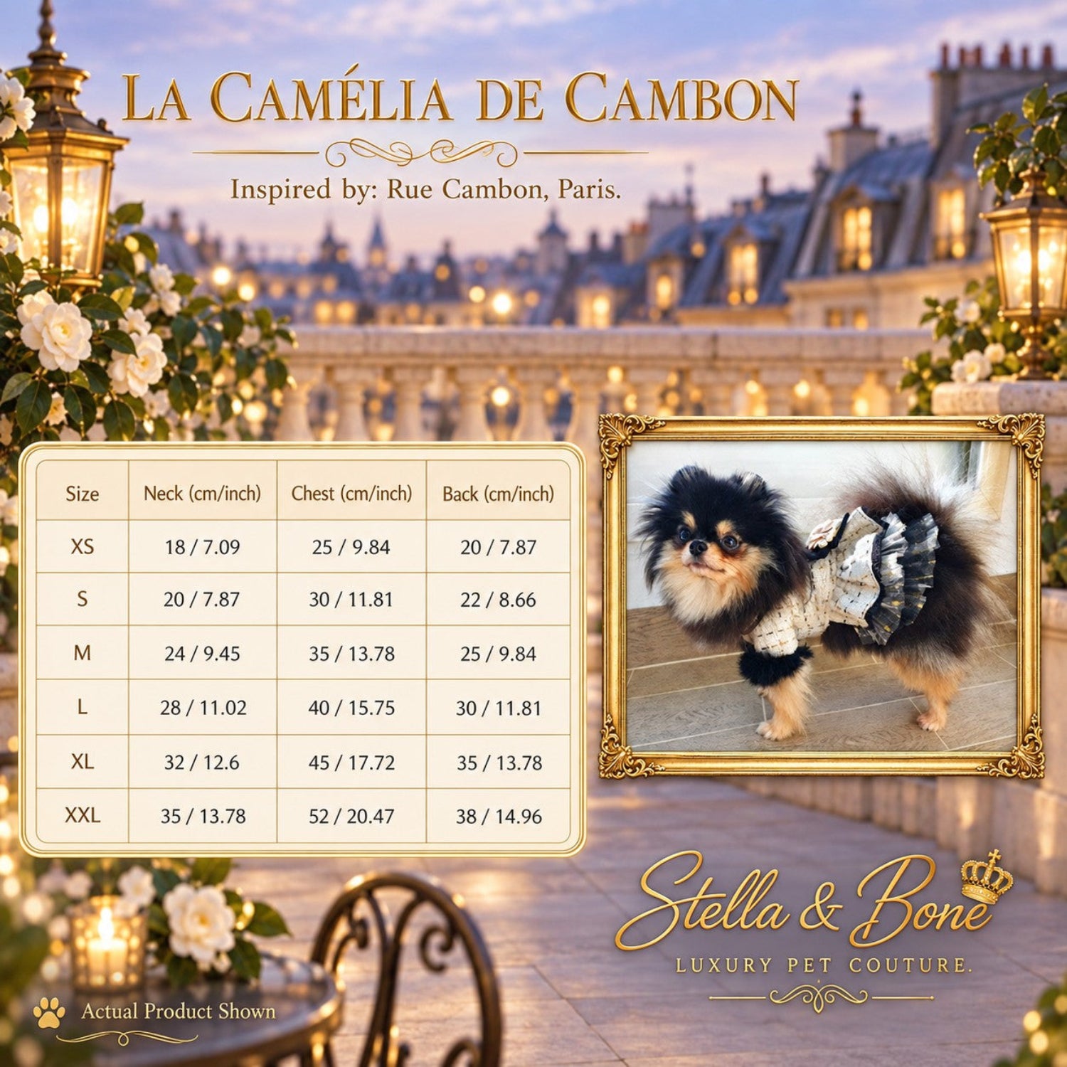 Size chart for La Camélia De Cambon pet dress listing neck, chest, and back measurements in centimeters and inches.
