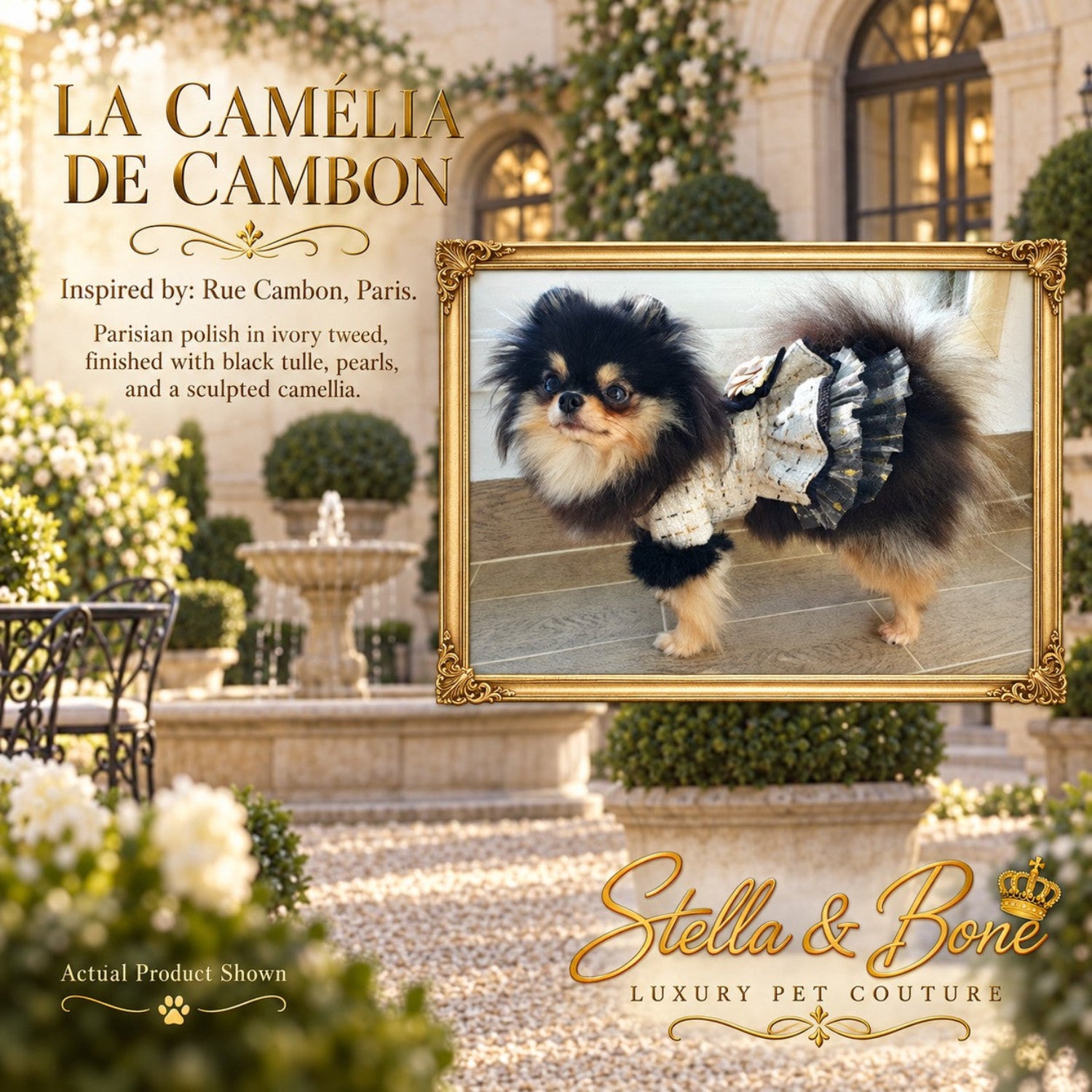 La Camélia De Cambon ivory tweed luxury pet dress with black tulle ruffles worn by a black and tan Pomeranian dog.