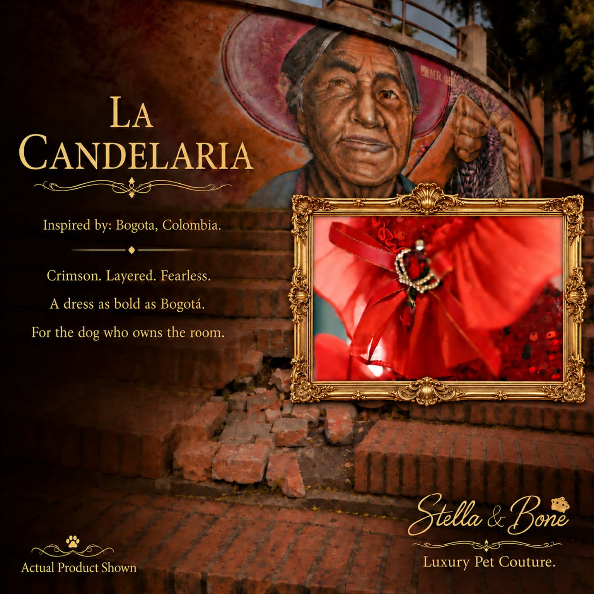 La Candelaria dog wedding dress with close-up of the collar and broach in Bogota, Colombia