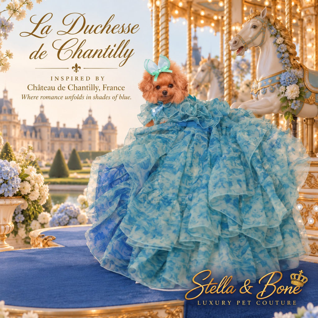La Duchesse de Chantilly luxury blue floral dog gown modeled by a toy Poodle next to a carousel at a French château.
