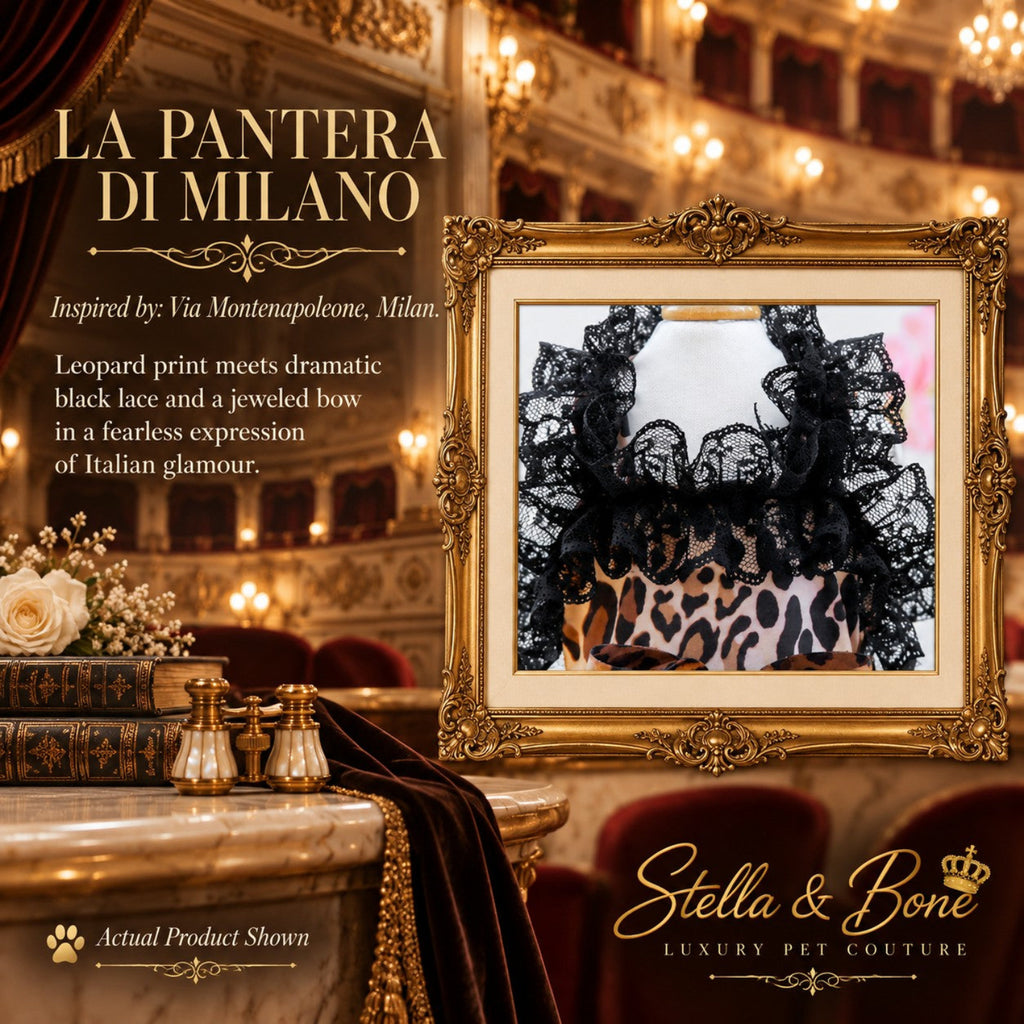 Intricate black lace ruffle detailing on La Pantera di Milano luxury dog apparel for high-end pet couture design.