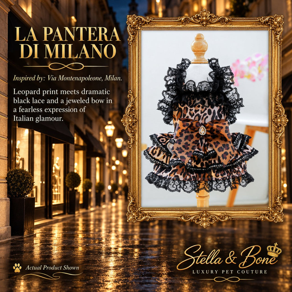 La Pantera di Milano luxury leopard print dog dress with dramatic black lace ruffles and a jeweled bow in Milan