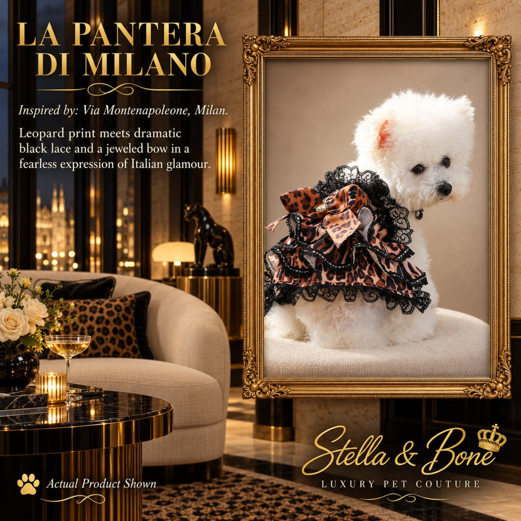 La Pantera di Milano couture dog dress featuring luxury leopard print, dramatic black lace, and a jeweled bow.