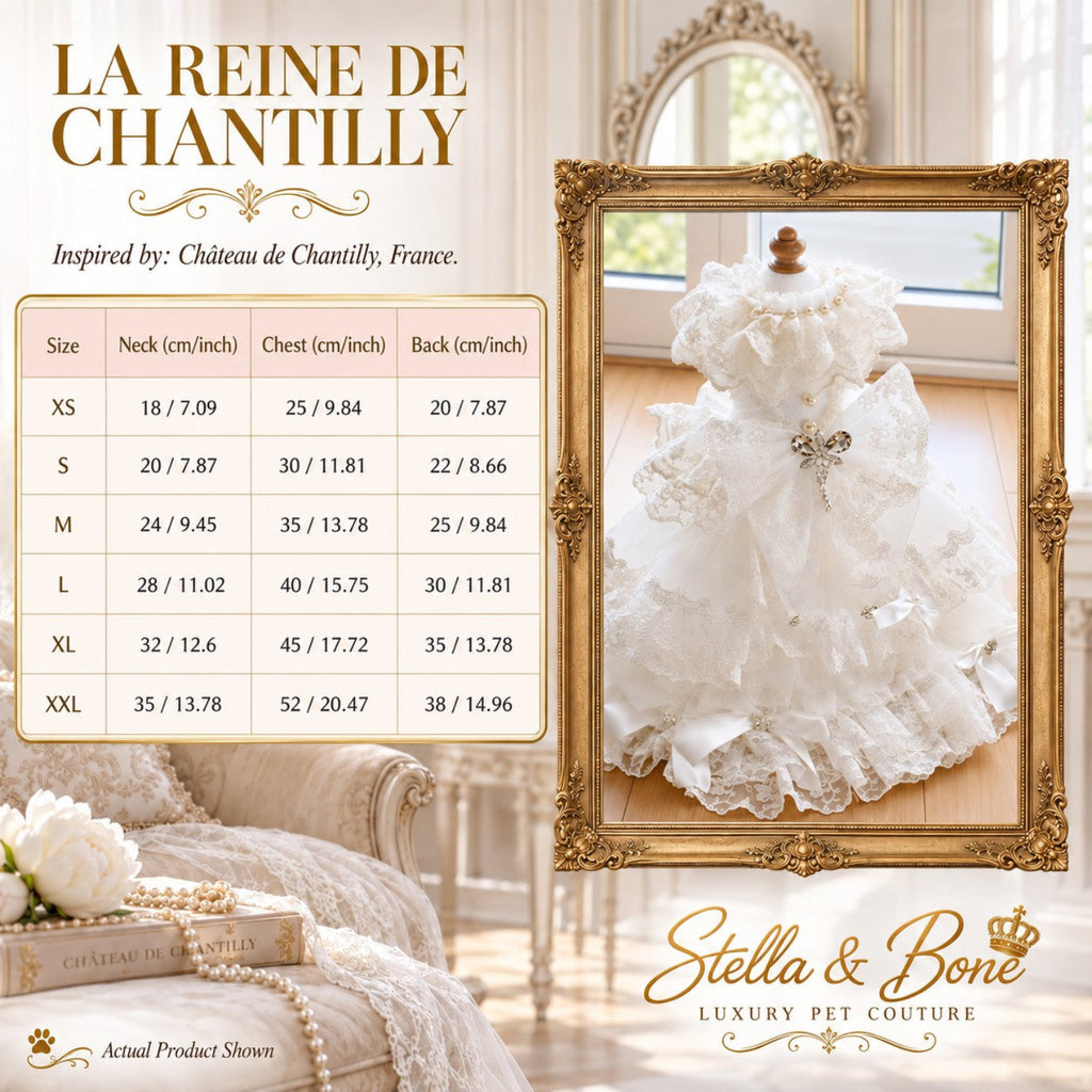 Size chart for La Reine De Chantilly luxury dog wedding dress, featuring measurement tables and bespoke tailoring options.