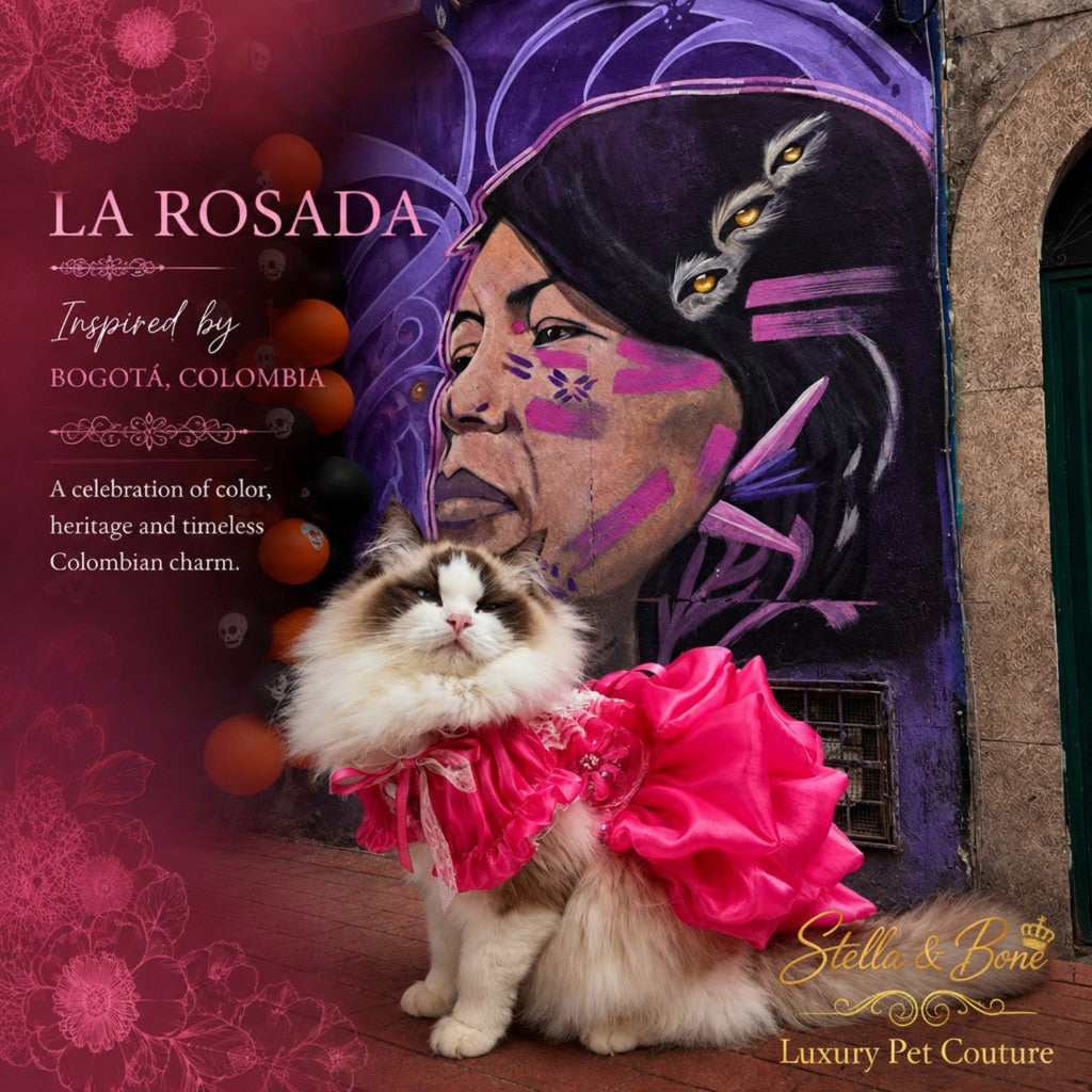 La Rosada couture pet wedding dress in hot pink tulle worn by a fluffy cat model in front of a purple mural in Colombia.