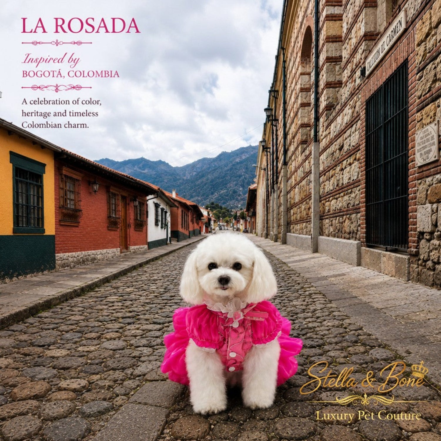La Rosada couture dog wedding dress in hot pink tulle on a fluffy white dog on a historic cobblestone street in Colombia.