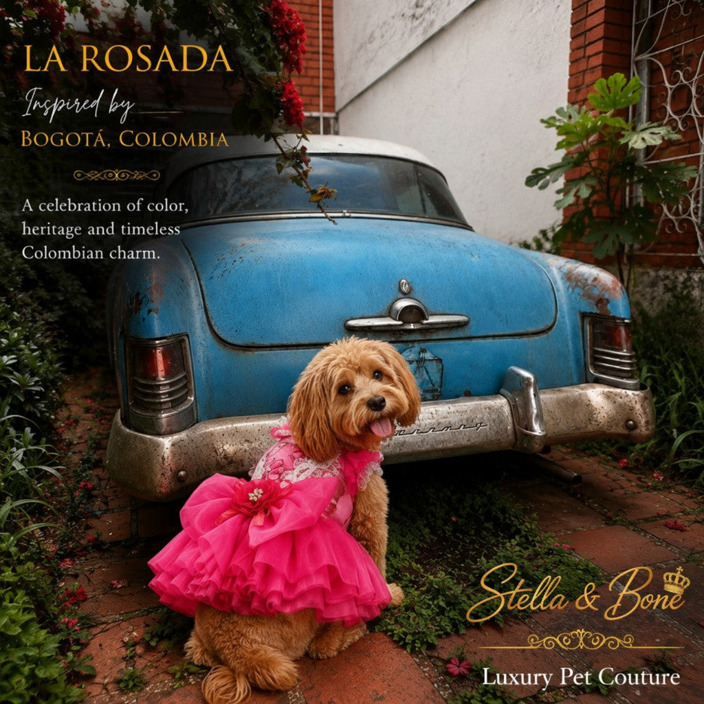 La Rosada couture dog wedding dress in hot pink tulle on a dog model sitting by a vintage blue car in Colombia