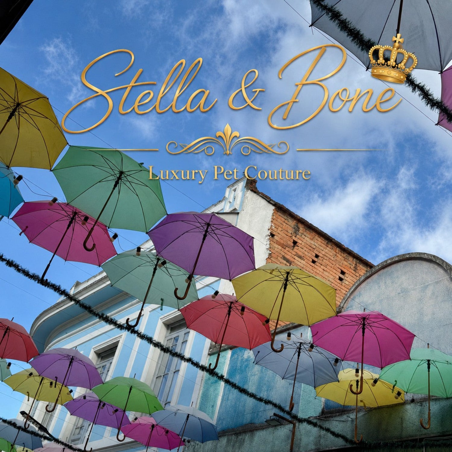 A colorful graphic for 'Stella & Bone Luxury Pet Couture' featuring a blue sky background with multiple hanging multicolored umbrellas 