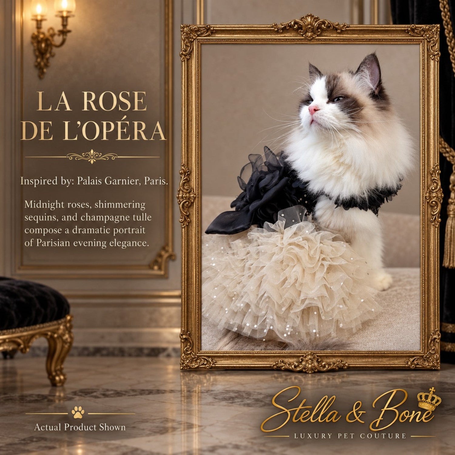 La Rose De Lopera, elegant champagne and black pet dress in Palais Garnier, Paris