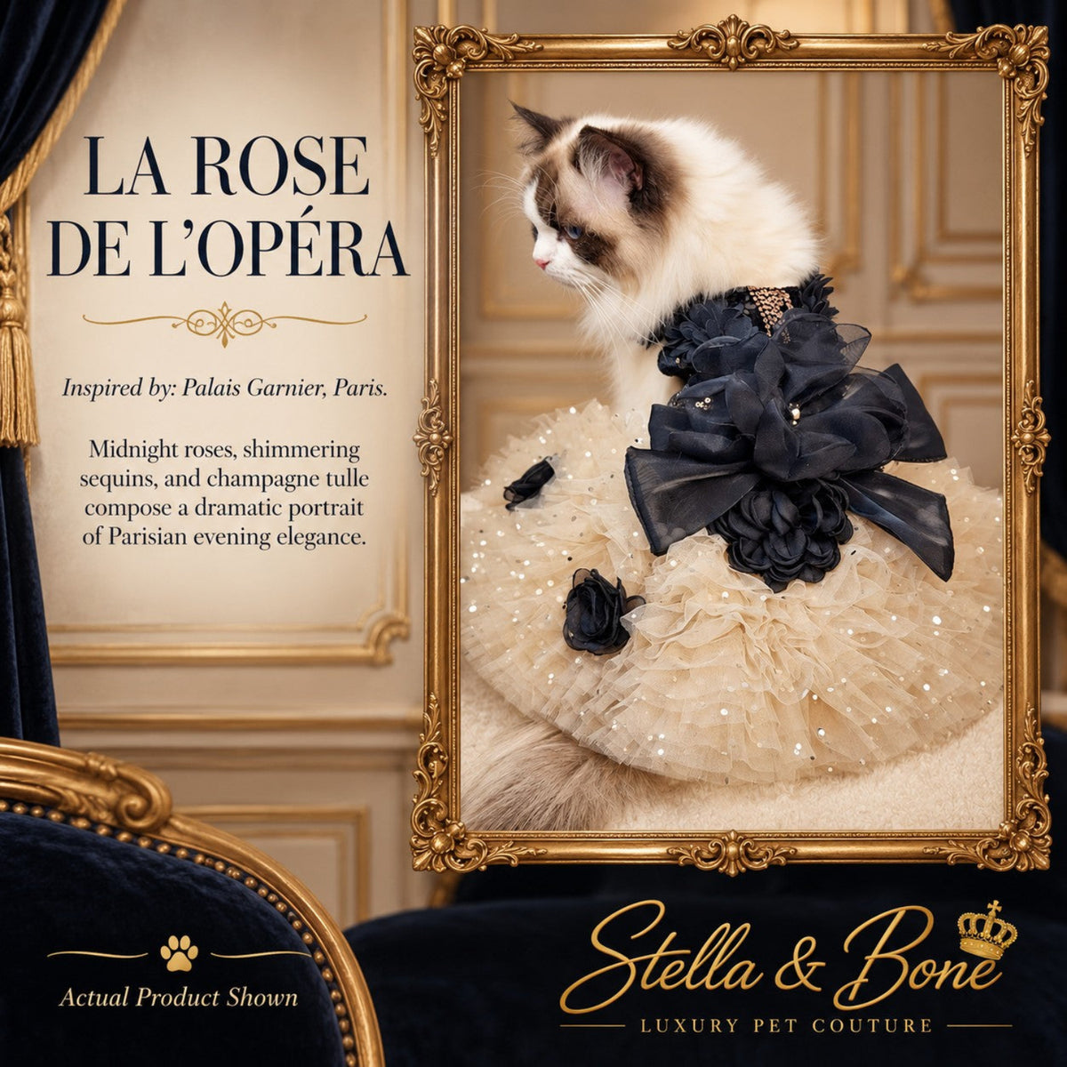 Long-haired Ragdoll cat modeling La Rose de L'Opéra luxury pet gown with champagne tulle and black sequin details.