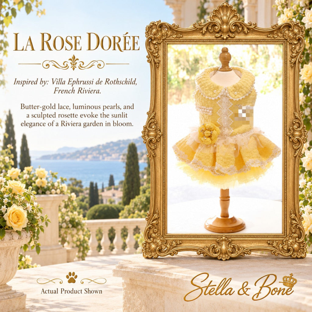 La Rose Dorée luxury dog dress in butter-gold lace with luminous pearls on a mannequin display overlooking French Riviera.