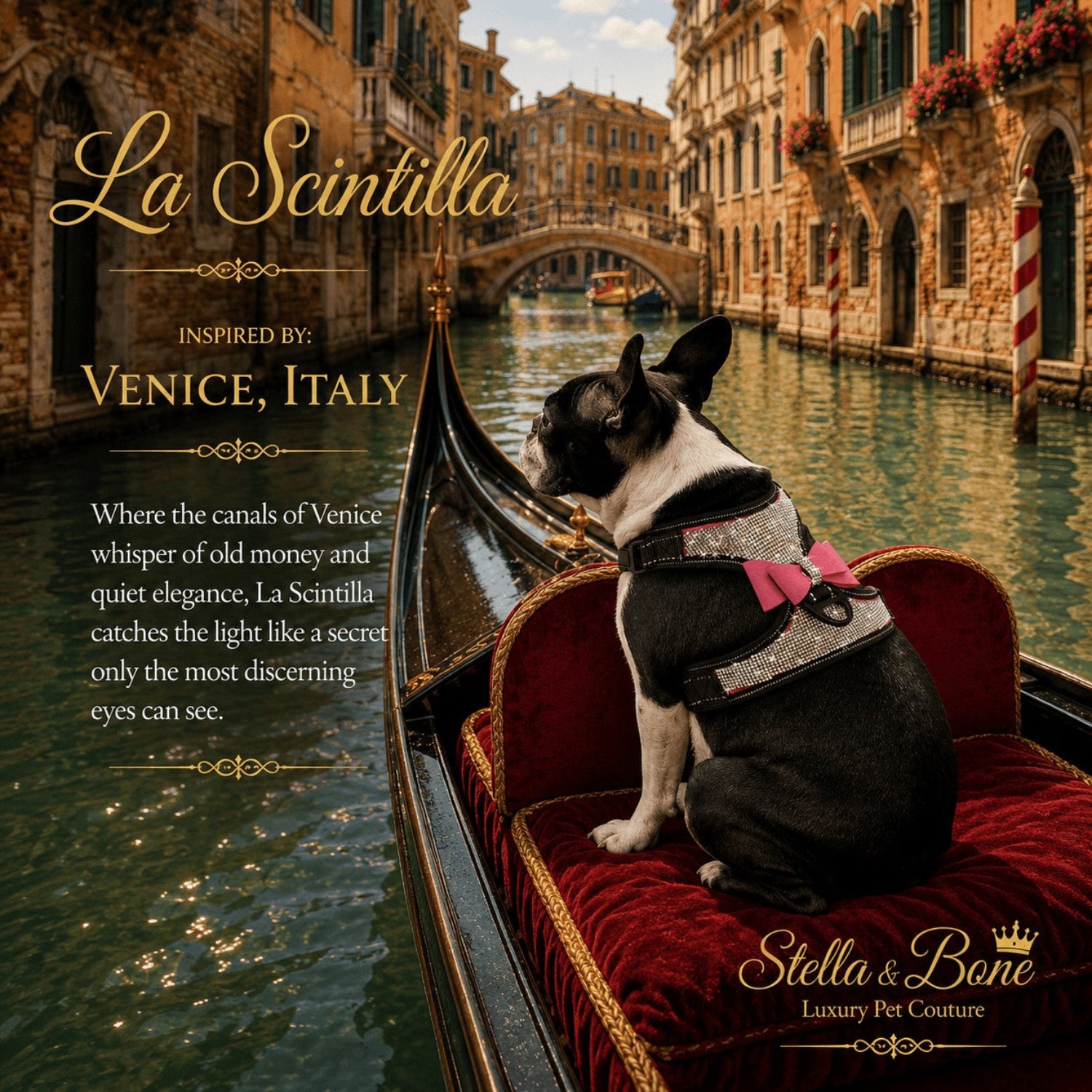 La Scintilla luxury pink dog harness worn by a pup in a Venice gondola, showcasing premium designer pet resort wear.