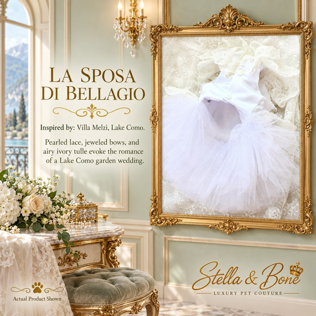 La Sposa di Bellagio ivory dog wedding dress belly view featuring an airy tiered tulle skirt for a pet bridal look.
