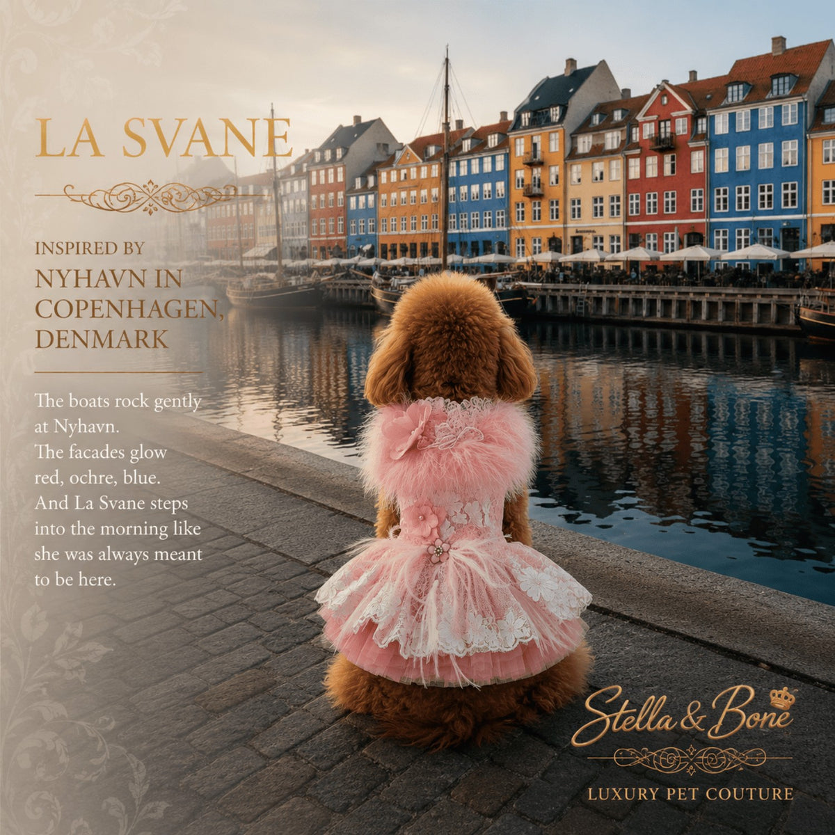 La Svane pink dog dress inspired by Copenhagen Denmark worn by a poodle looking at a colorful harbor with historic boats.