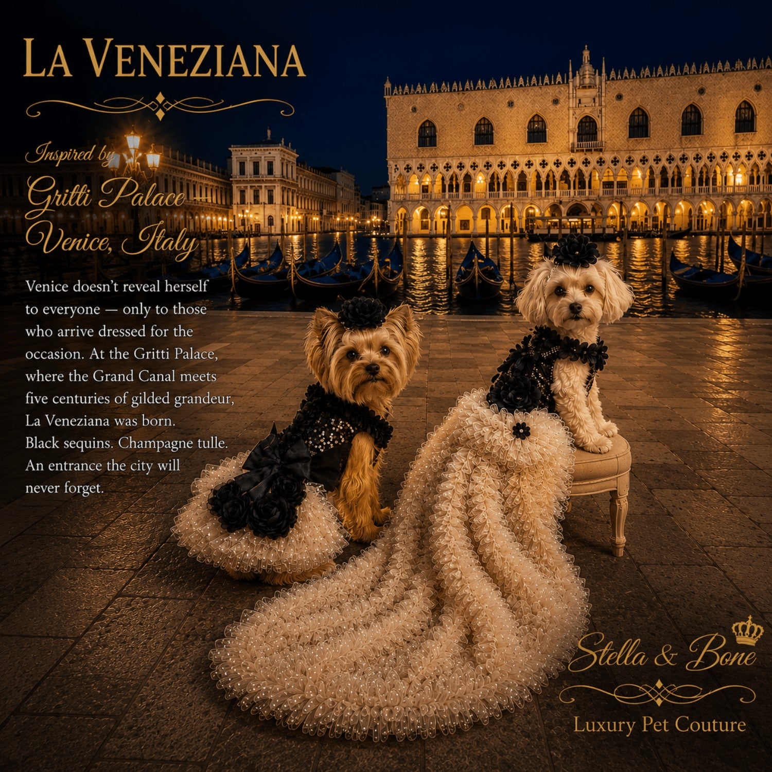 La Veneziana, a Black and Champagne wedding sequin gown for small pets. Two different looks with the train or without. 