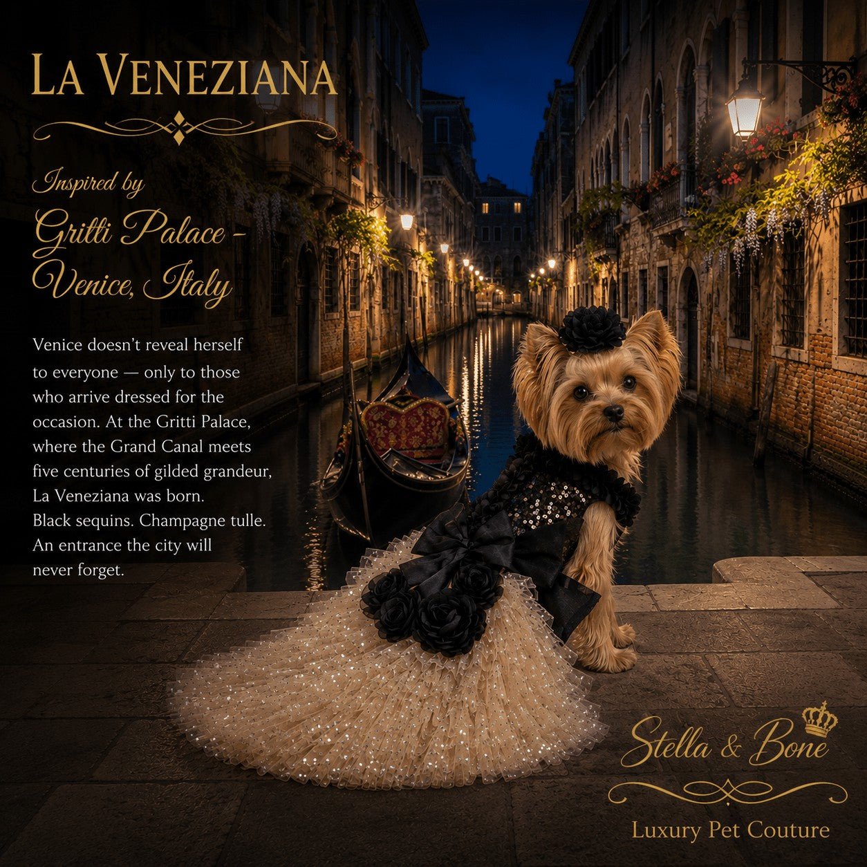 A small dog wearing La Veneziana without the attachable train. Black and Champagne. Oversized designer-inspired bow center