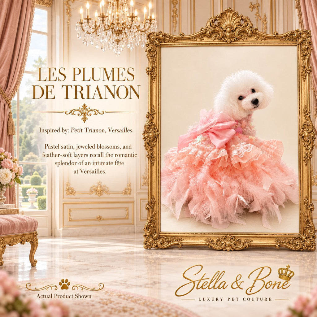Pink Les Plumes de Trianon luxury dog gown with feathers and a large back bow, worn by a small white dog in a gold frame.