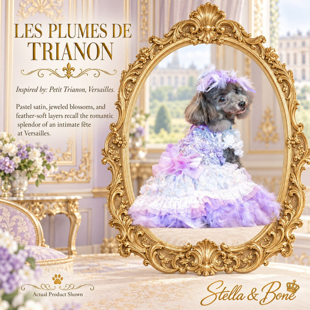 Purple Les Plumes de Trianon luxury dog gown with feathers worn by a small gray poodle In Versailles