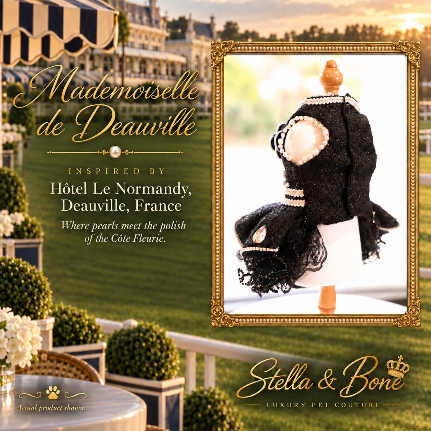Back view of Mademoiselle de Deauville black tweed dog dress showing pearl trim, armholes, and button closures.