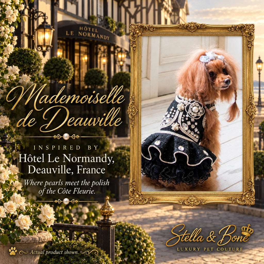 Poodle wearing Mademoiselle de Deauville black tweed dog dress featuring heavy pearl and rhinestone floral details.