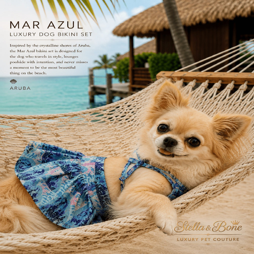 Dog wearing a blue floral bikini set in a hammock in Aruba, One Happy Island