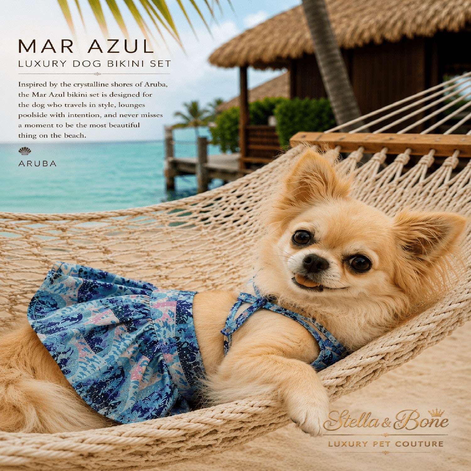 Dog wearing a blue floral bikini set in a hammock in Aruba, One Happy Island