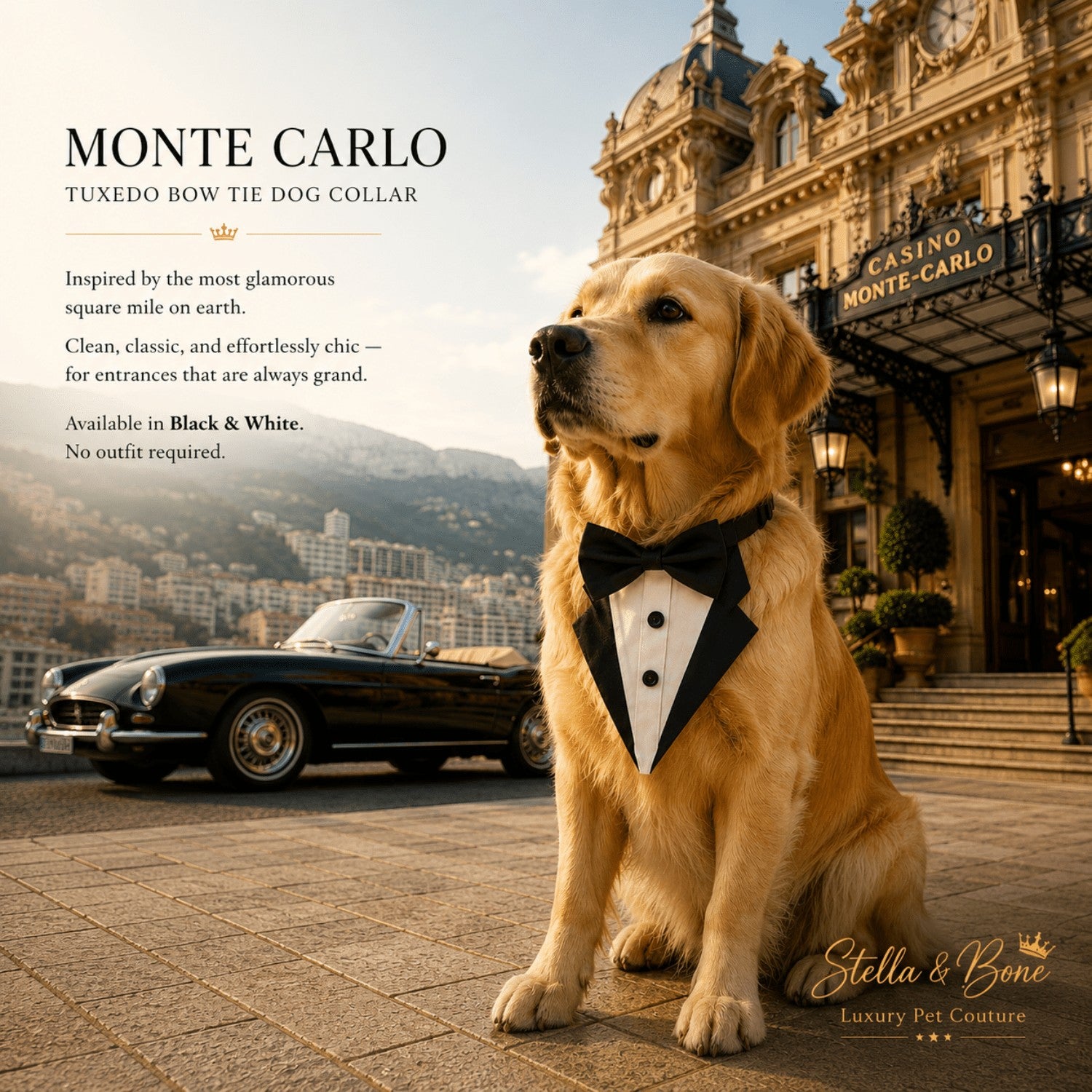 Monte Carlo tuxedo bow tie dog collar on a Golden Retriever, featuring luxury pet formal wear by the Monaco casino.