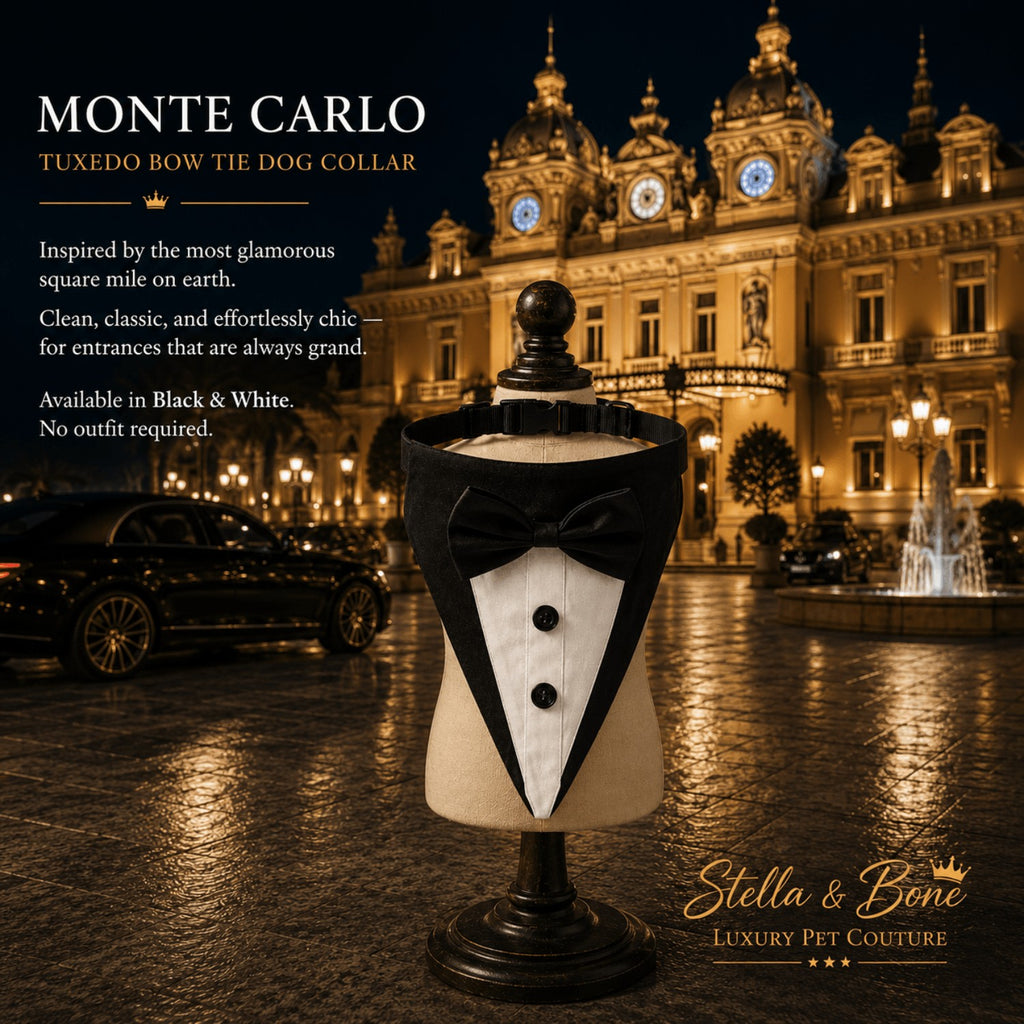 Monte Carlo tuxedo bow tie dog collar on a mannequin, featuring luxury pet formal neckwear outside a lit casino.