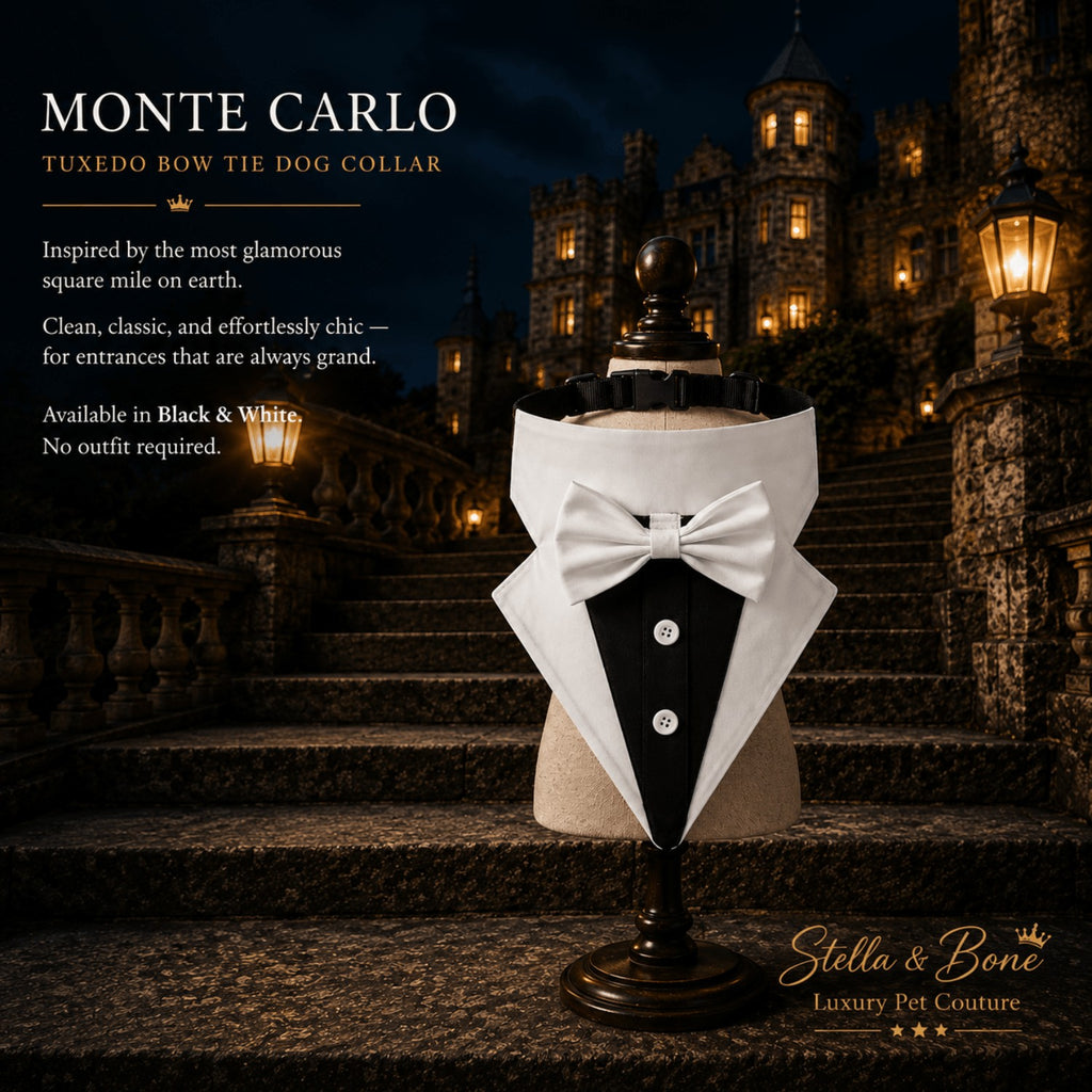 Monte Carlo tuxedo bow tie dog collar in white on a mannequin, featuring luxury pet wedding wear by a stone castle.