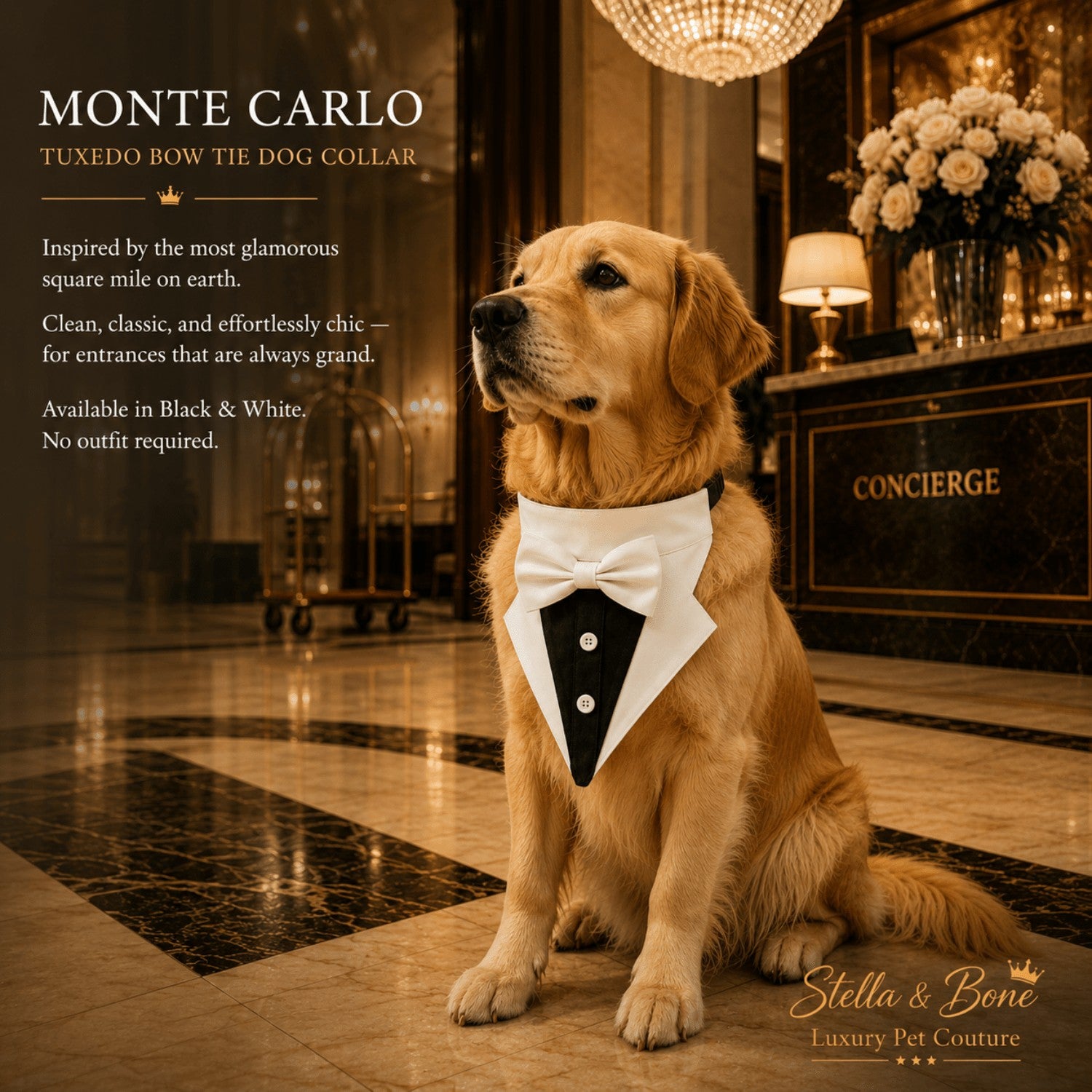 Monte Carlo tuxedo bow tie dog collar in white on a Golden Retriever, featuring luxury pet apparel in a hotel lobby.