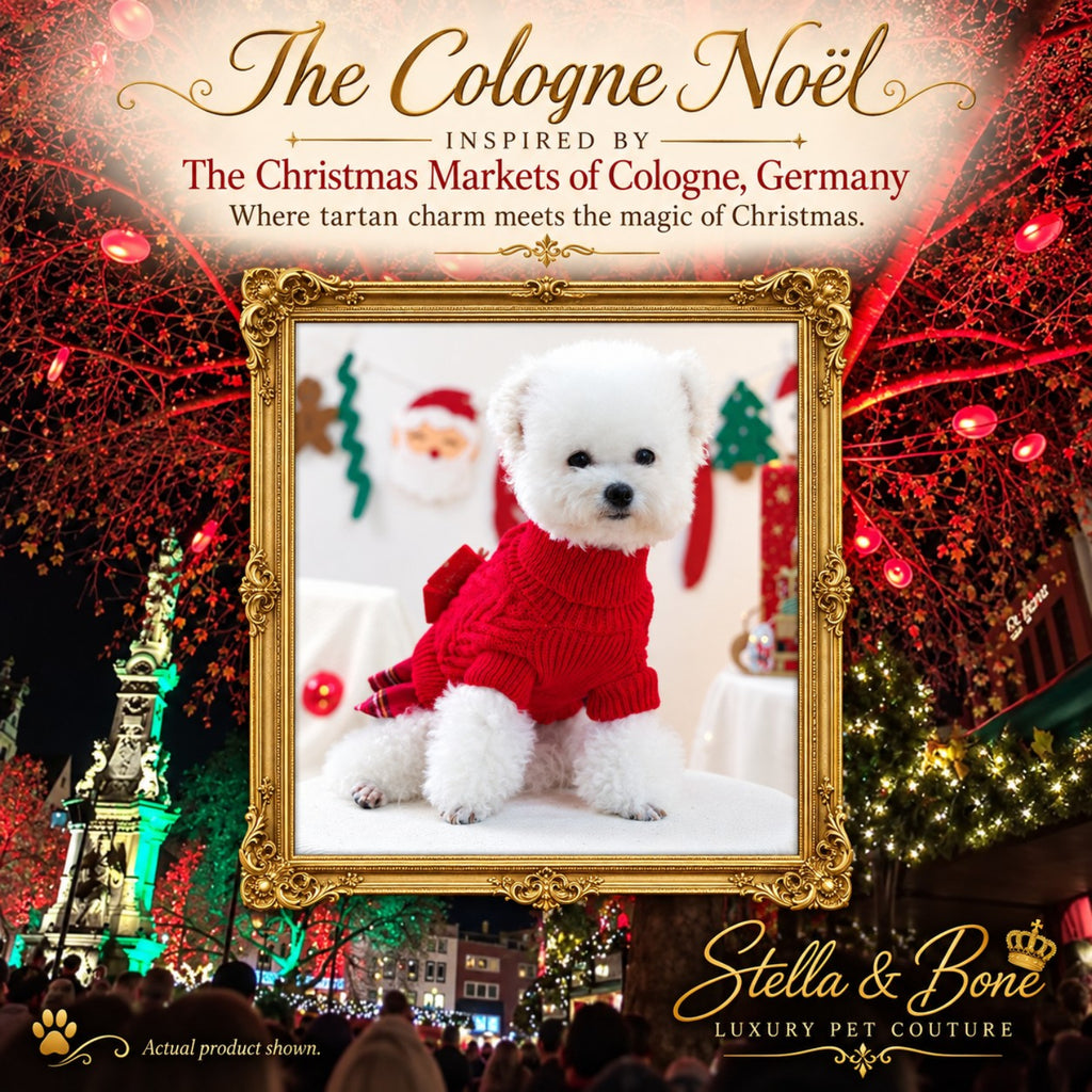 The Cologne Noel red knit holiday dog dress on a white fluffy maltipoo with a festive German marketplace background
