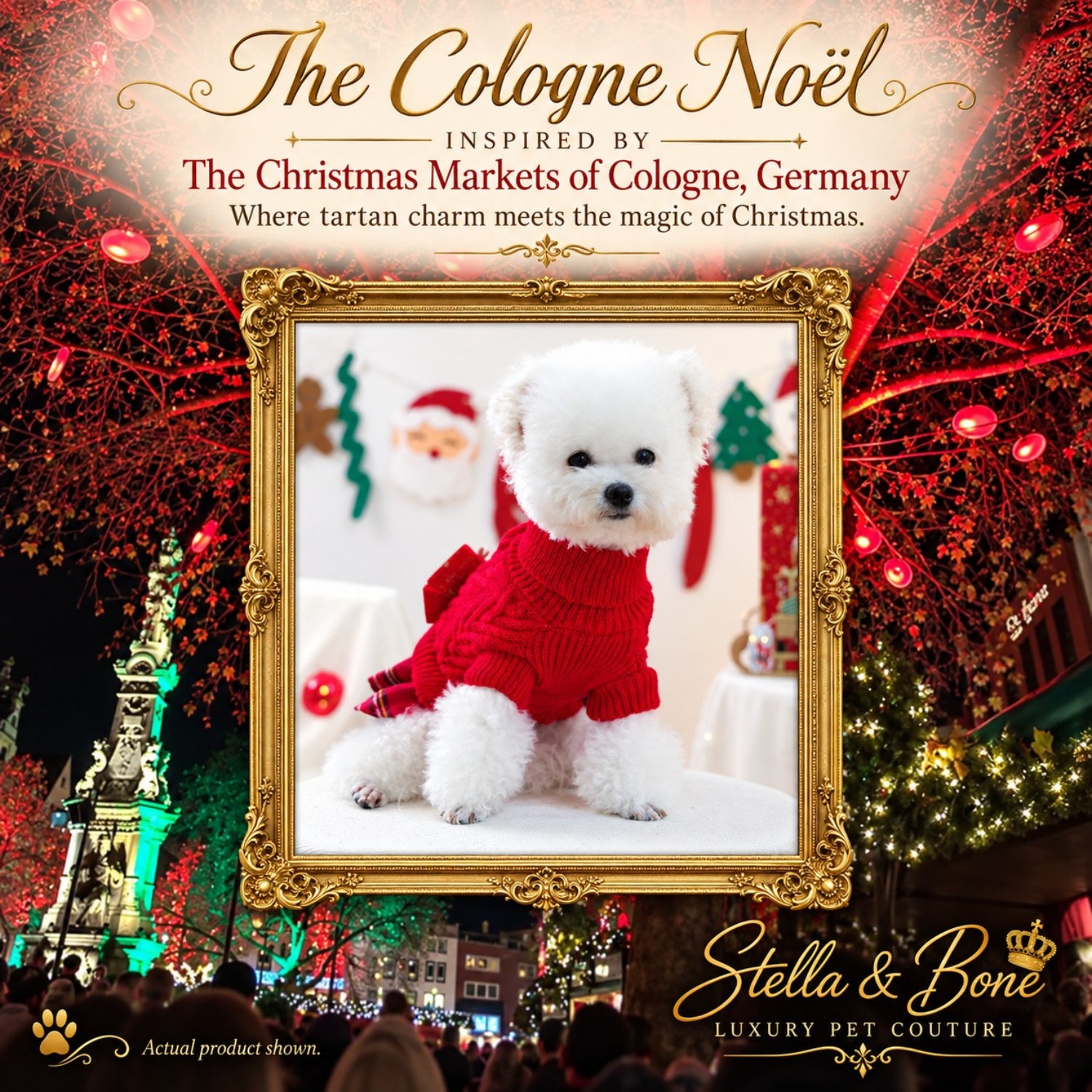 The Cologne Noel red knit holiday dog dress on a white fluffy maltipoo with a festive German marketplace background