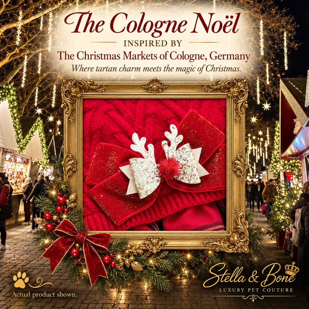 The Cologne Noel red velvet dog bow with glittery holiday reindeer antlers inside a festive gold frame