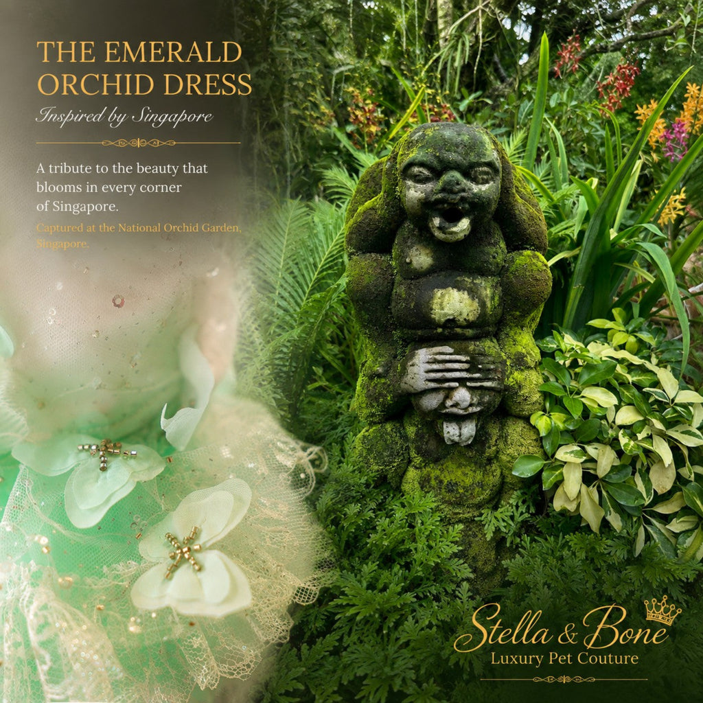 The Emerald Orchid couture dog wedding dress details displayed next to a mossy stone statue at the National Orchid Garden