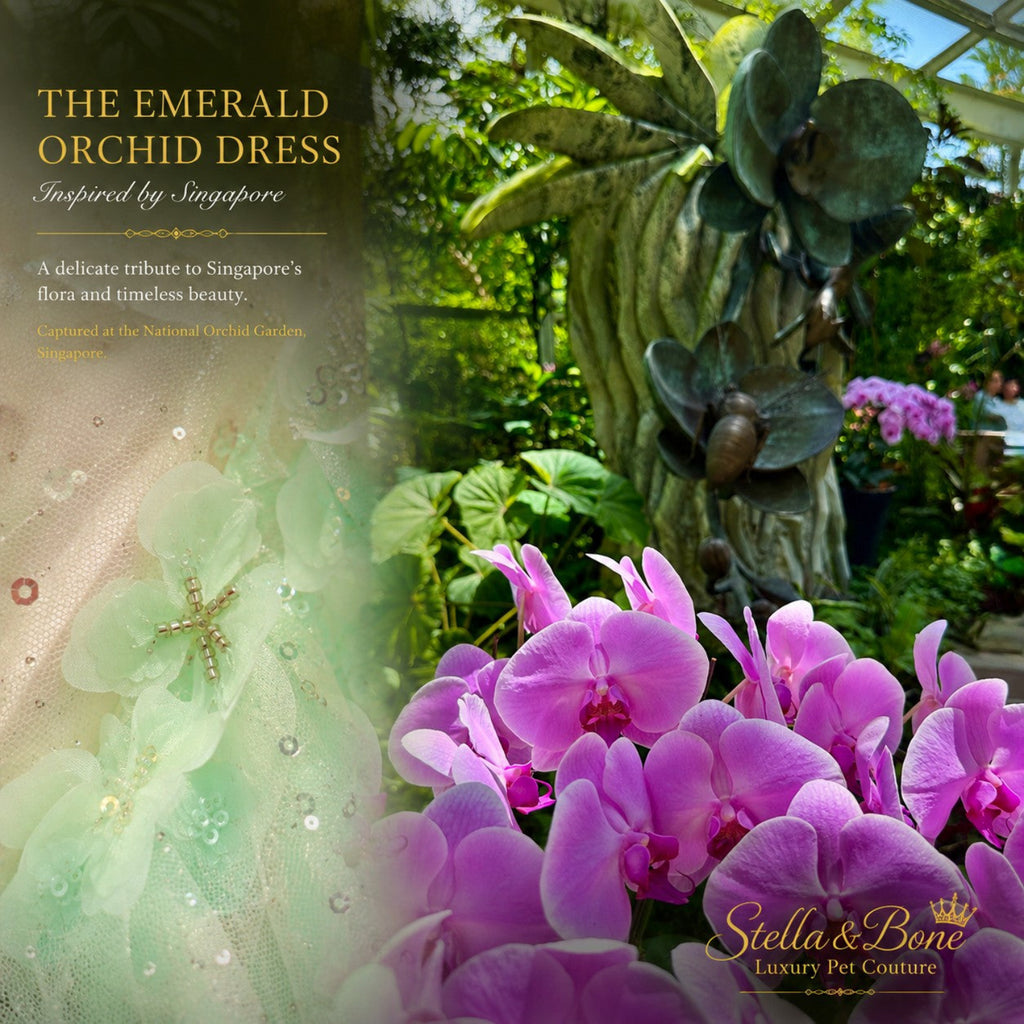 The Emerald Orchid couture dog wedding dress details displayed next to purple orchids at the National Orchid Garden.