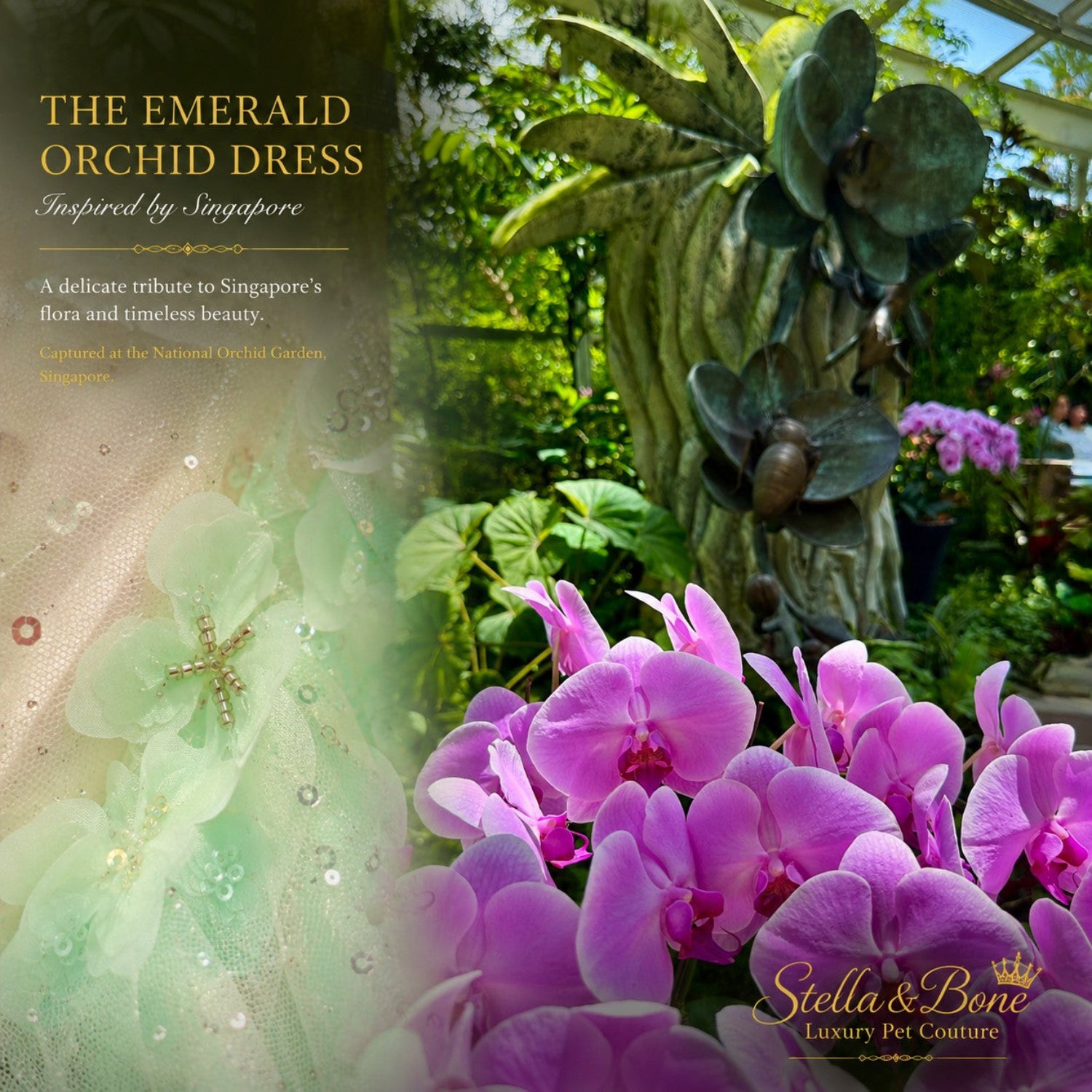 The Emerald Orchid couture dog wedding dress details displayed next to purple orchids at the National Orchid Garden.