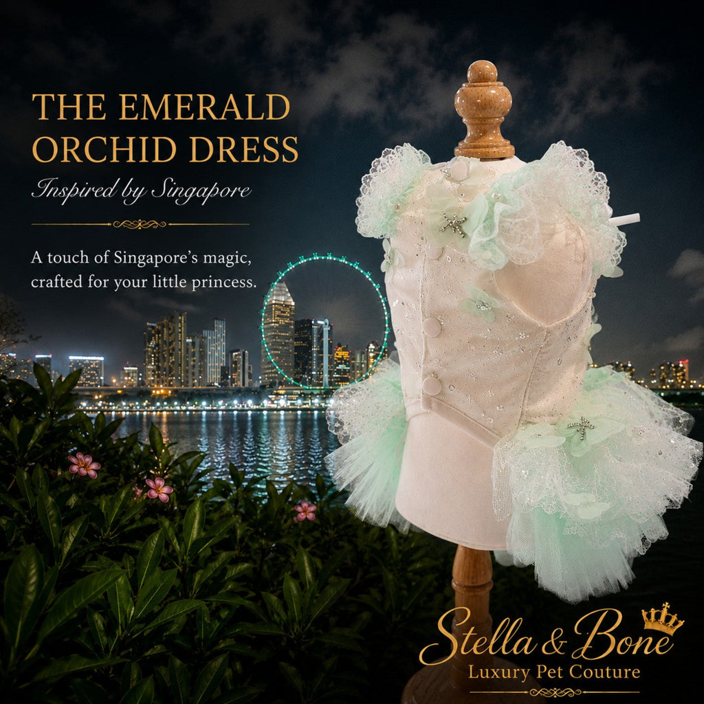 Back of The Emerald Orchid couture dog wedding dress in mint green tulle on a mannequin with the Singapore Flyer night skyline.
