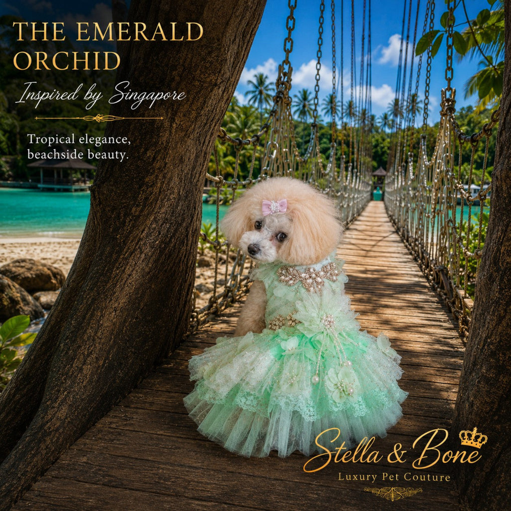 The Emerald Orchid luxury lace dog dress in mint green tulle, modeled by a small white dog on a wooden bridge.