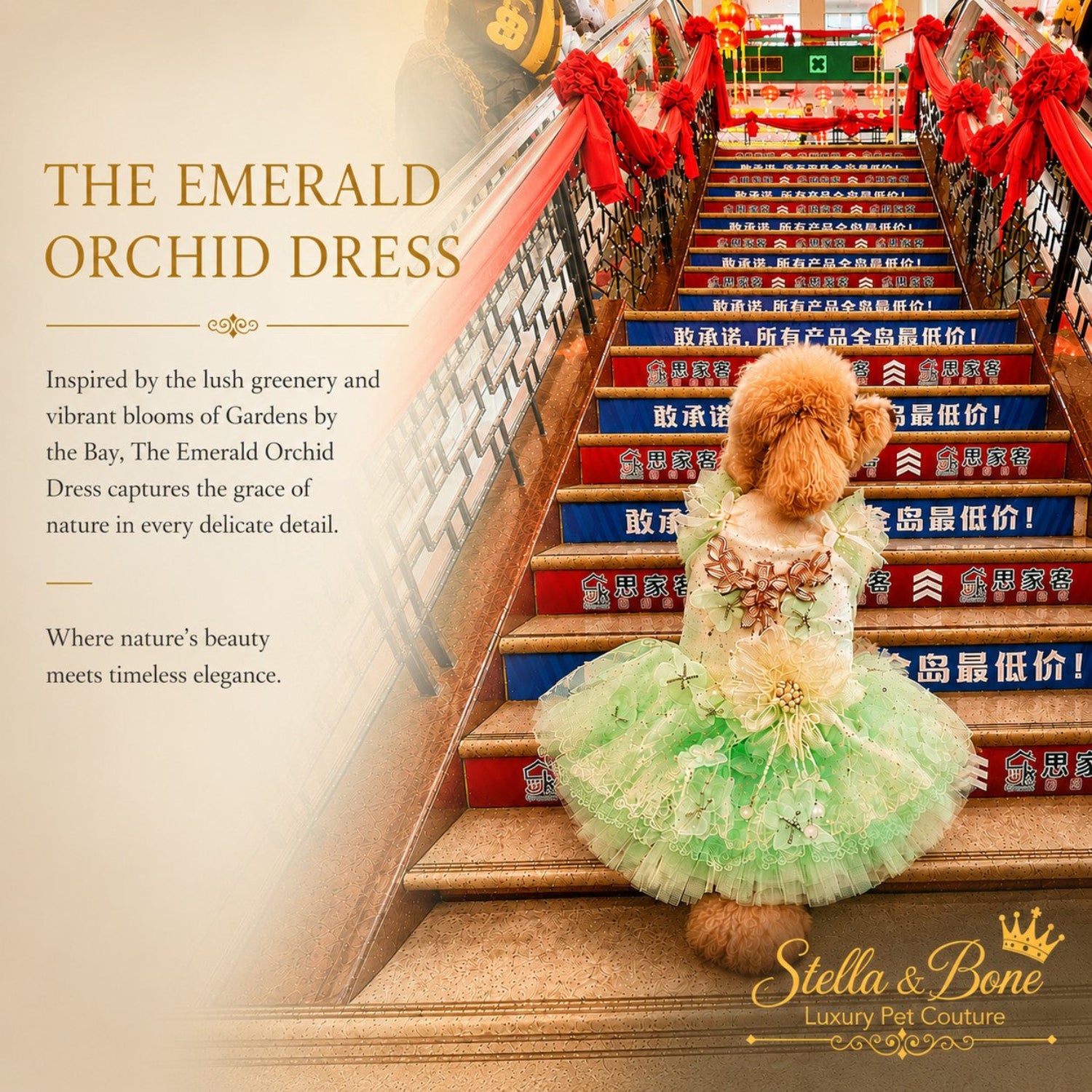 Back view of The Emerald Orchid dress with a tiered mint tulle skirt on a poodle climbing ornate stairs in Singapore.