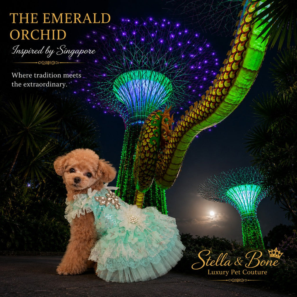 The Emerald Orchid couture dog wedding dress in mint green tulle, modeled by a small brown poodle at Gardens by the Bay.