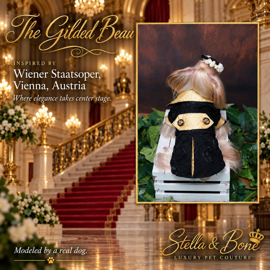 The Gilded Beau, luxury pet couture modeled by a long-haired dog. Vienna, Austria backdrop