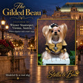 Small long-haired dog dressed in an elegant black and gold outfit, The Gilded Beau set in Vienna, Austria
