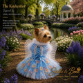 Yorkie wearing The Keukenhof in blue. Inspired by Lisse, Netherlands.