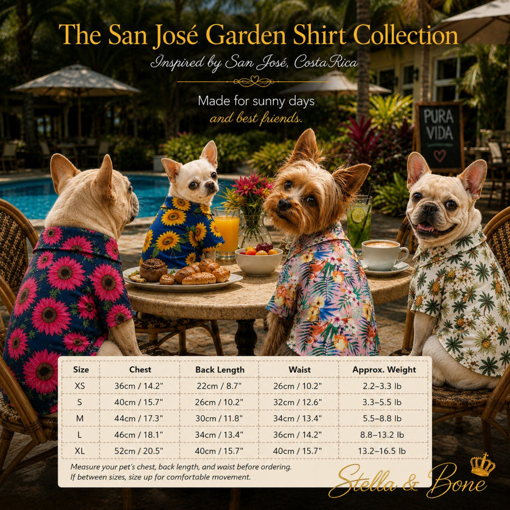 Size chart of The San Jose Garden Shirt Collection, four dogs at poolside cafe