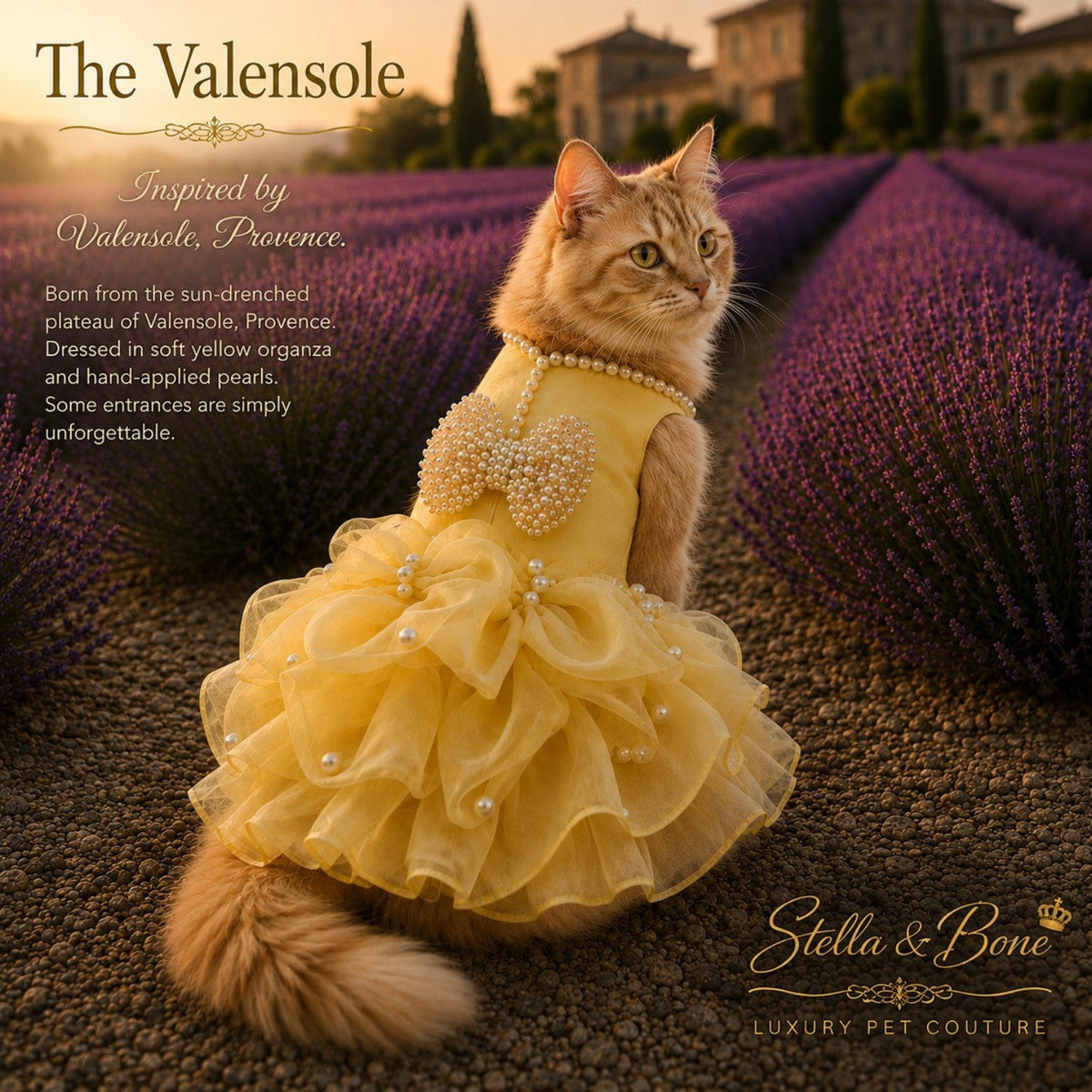 Yellow organza cat dress, The Valensole modeled a a cat in a lavender field in Provence