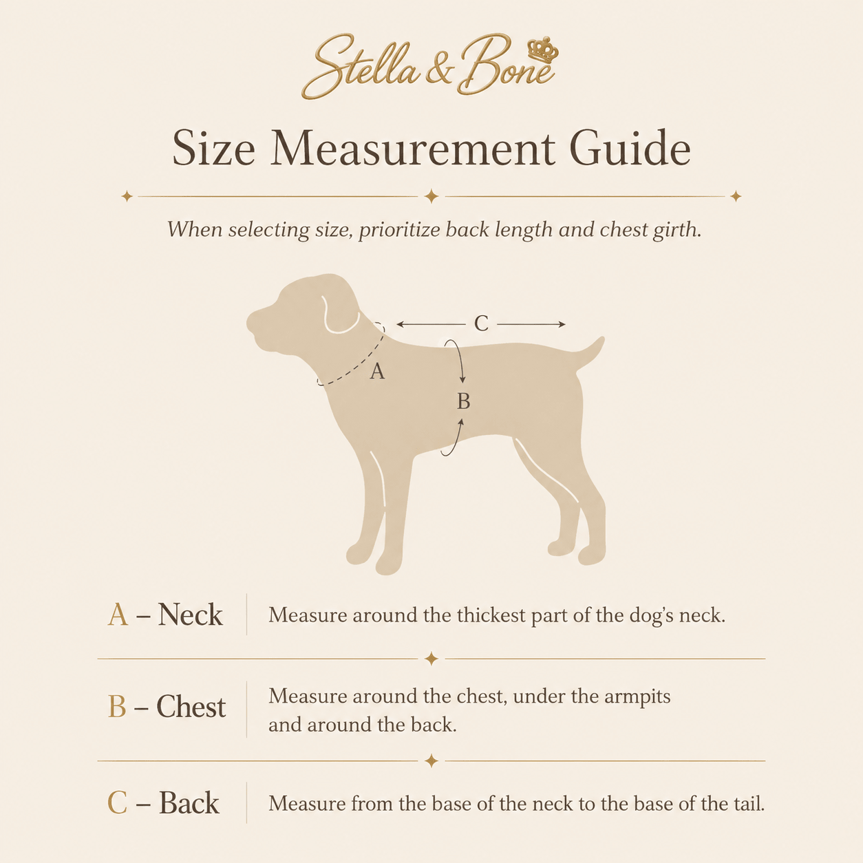 Minimalist Rain Jacket for Dogs & Cats | Beige | Stella & Bone