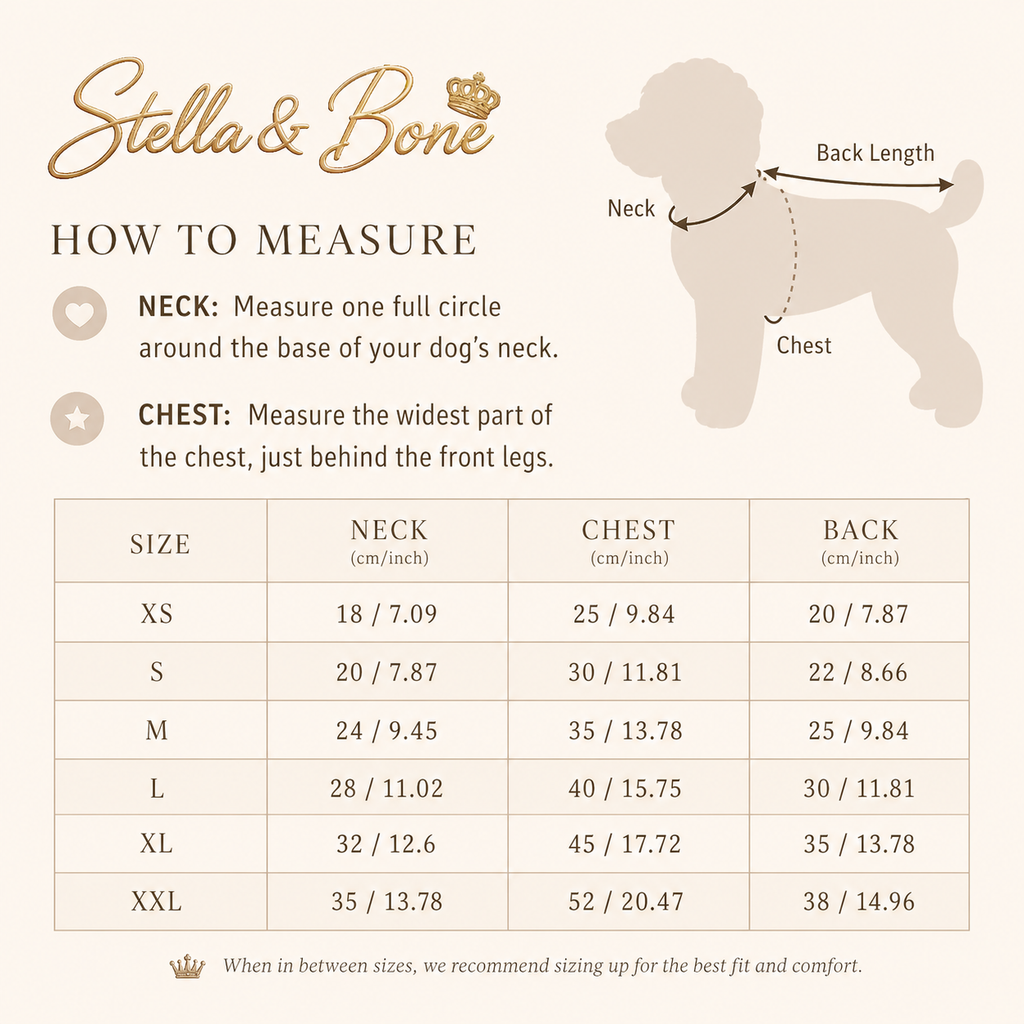 La Dorée | Gold Sequin Princess Gown | Dogs & Cats | Stella & Bone